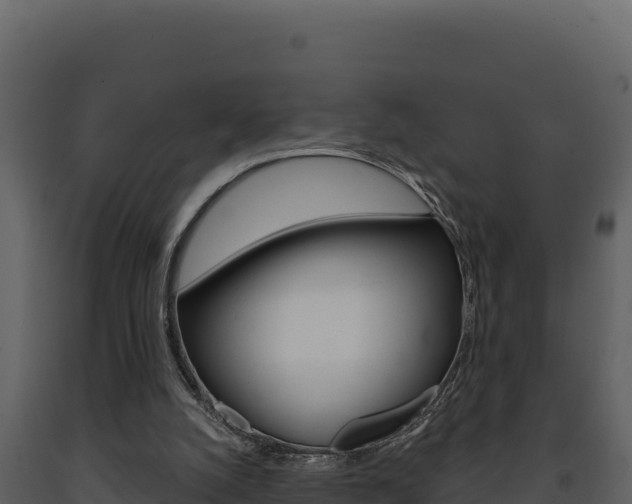 X0000091730056200708241054