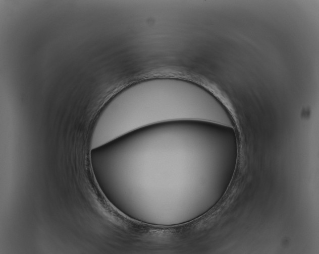 X0000091730057200708241054