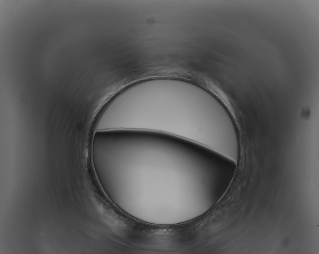 X0000091730059200708241054