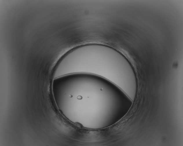 X0000091730060200708241054