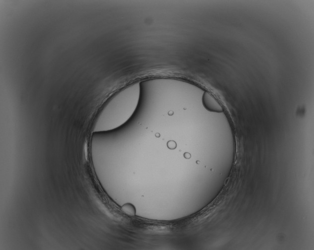 X0000091730061200708241054