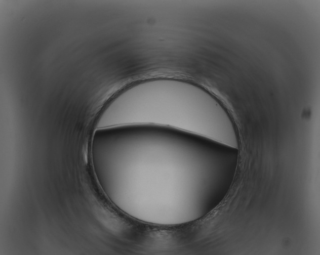 X0000091730062200708241054
