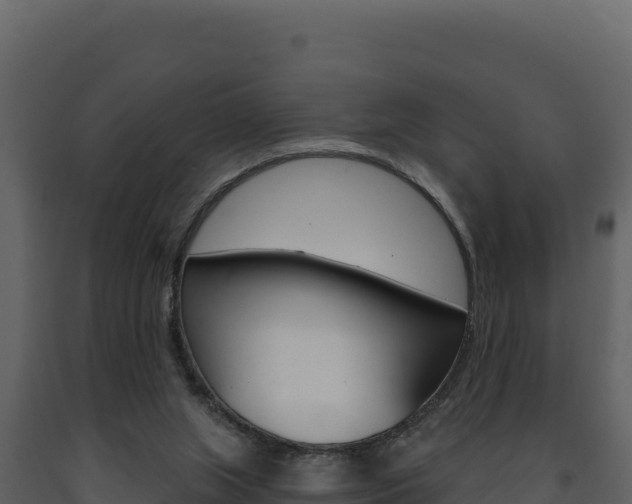X0000091730063200708241054