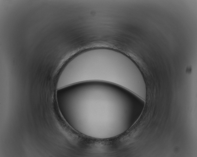 X0000091730064200708241054