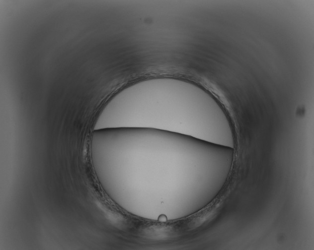 X0000091730065200708241054