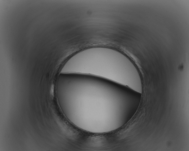 X0000091730067200708241054