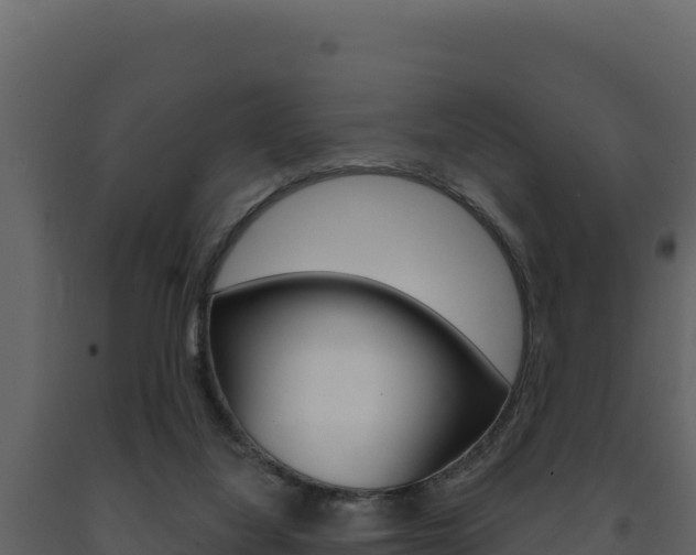 X0000091730068200708241054