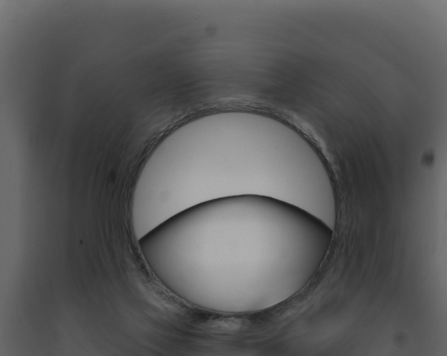 X0000091730069200708241054