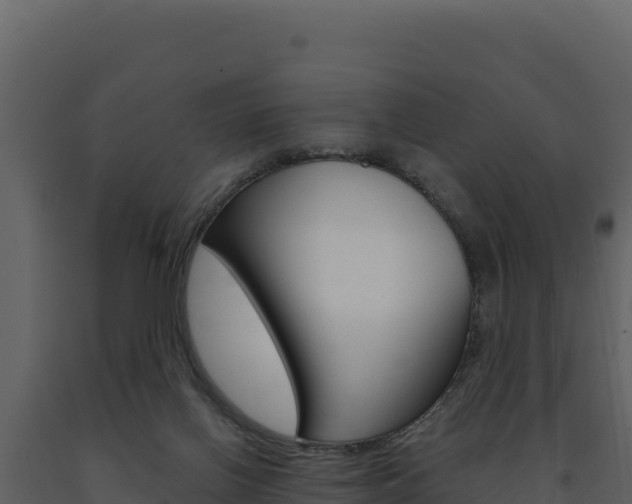X0000091730070200708241054