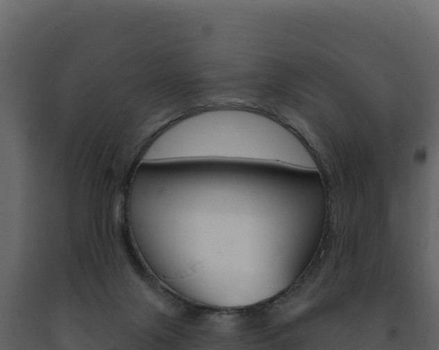 X0000091730071200708241054