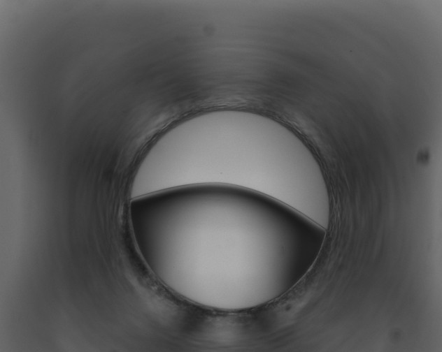 X0000091730072200708241054