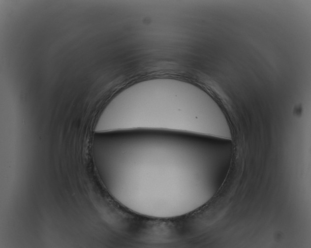 X0000091730073200708241054