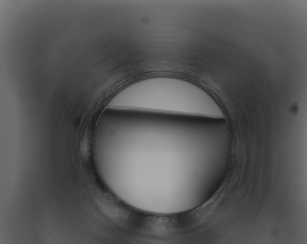 X0000091730074200708241054