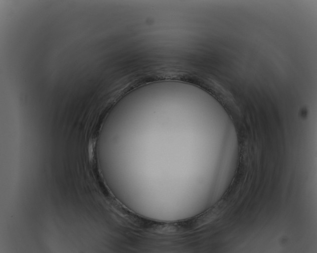 X0000091730075200708241054