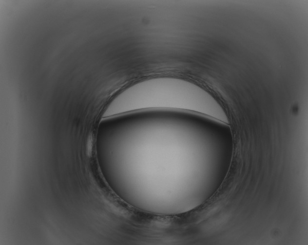 X0000091730076200708241054
