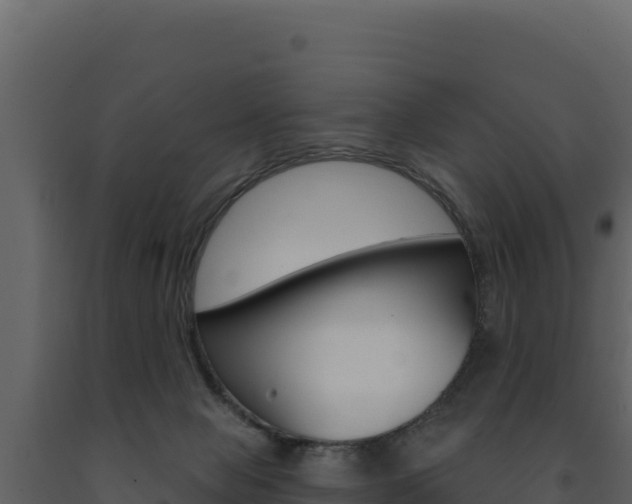X0000091730077200708241054