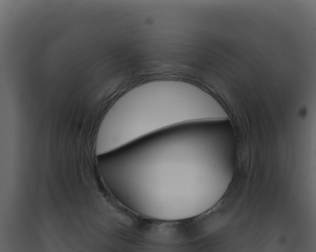 X0000091730078200708241054