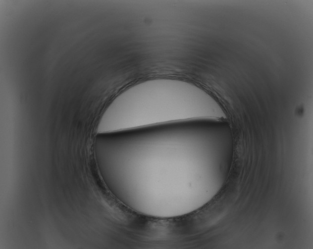 X0000091730079200708241054