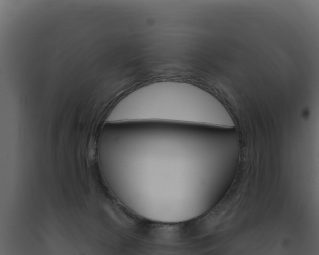 X0000091730081200708241054