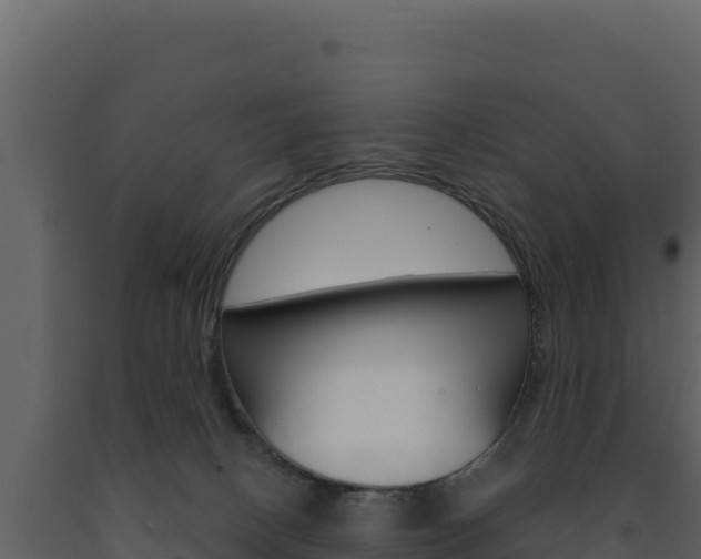 X0000091730082200708241054