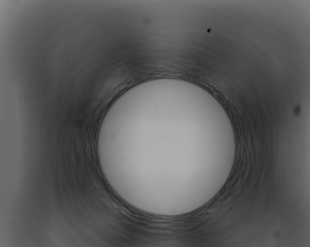 X0000091730084200708241054