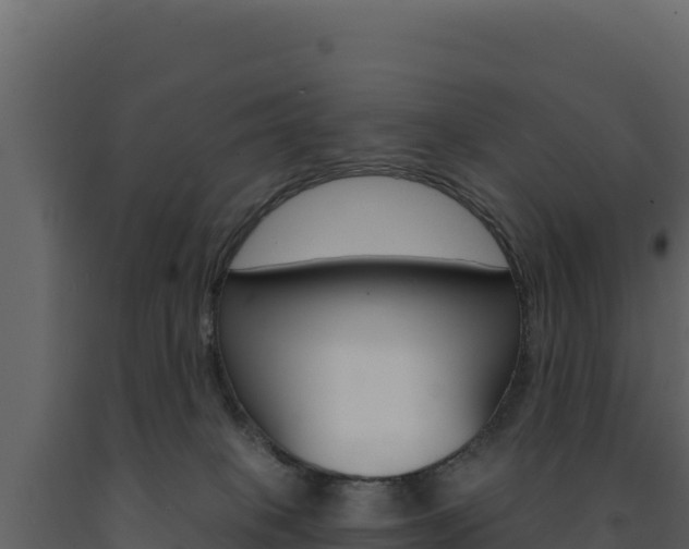 X0000091730085200708241054