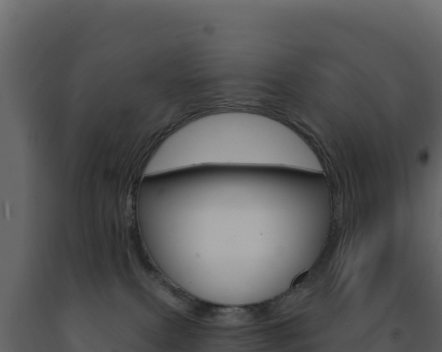 X0000091730087200708241054
