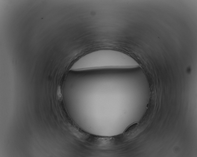 X0000091730089200708241054