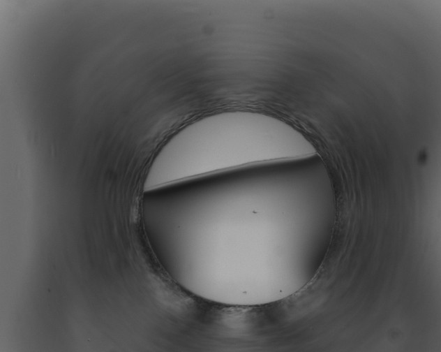 X0000091730090200708241054