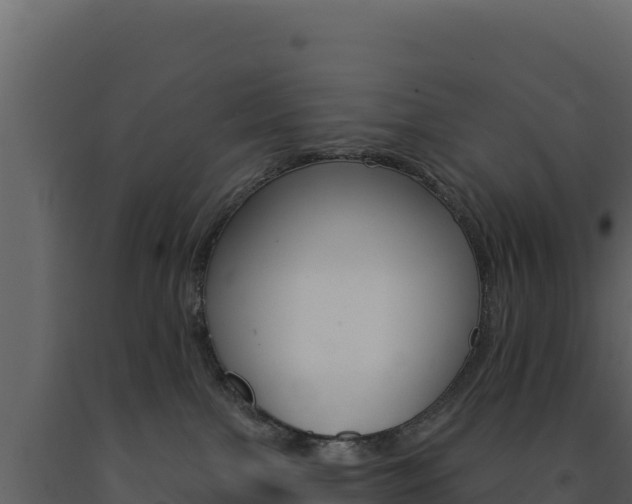 X0000091730091200708241054
