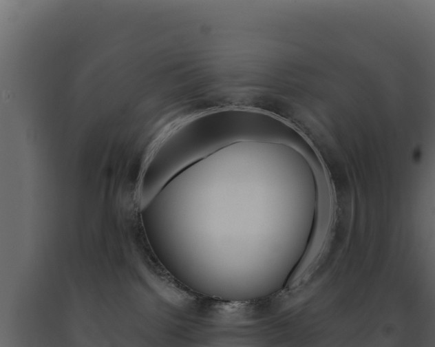 X0000091730092200708241054