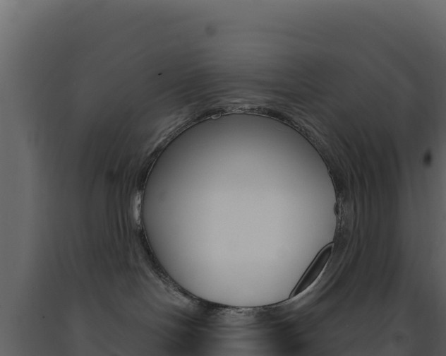 X0000091730094200708241054