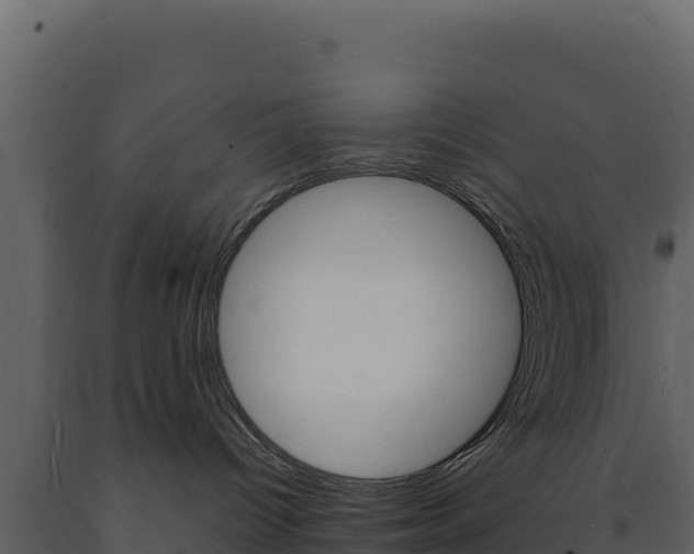 X0000091730096200708241054