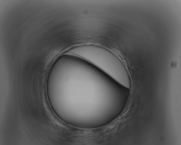 X0000091730097200708241053