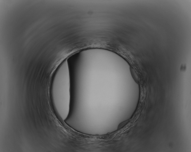X0000091730098200708241053