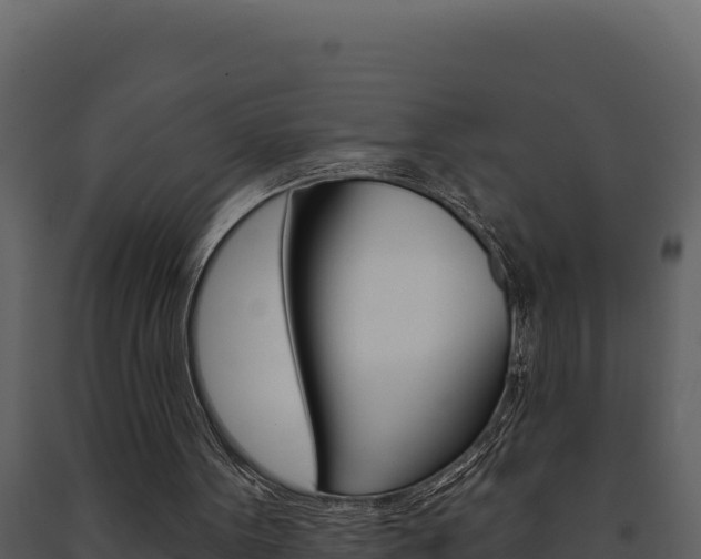 X0000091730099200708241053