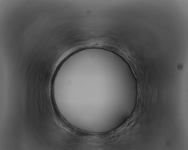 X0000091730100200708241053