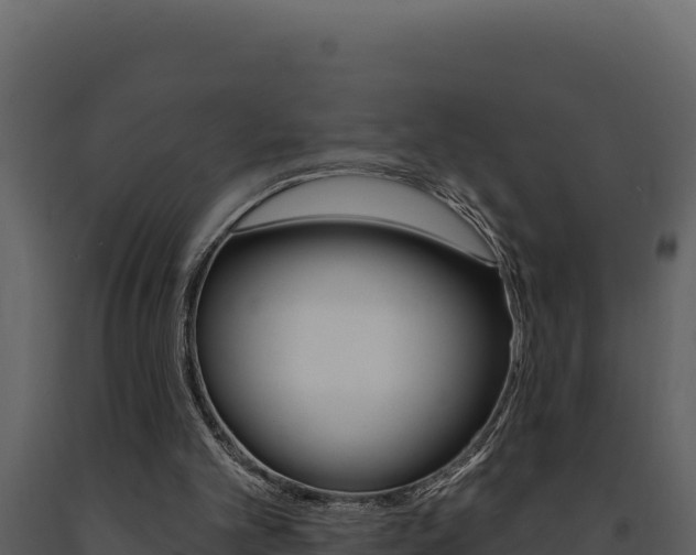 X0000091730101200708241053