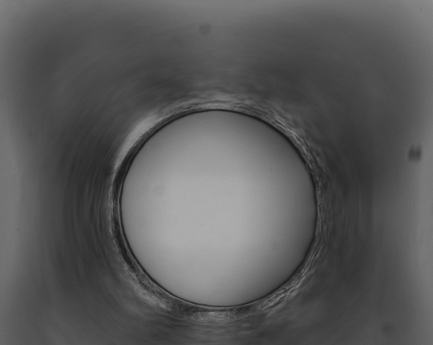X0000091730102200708241053