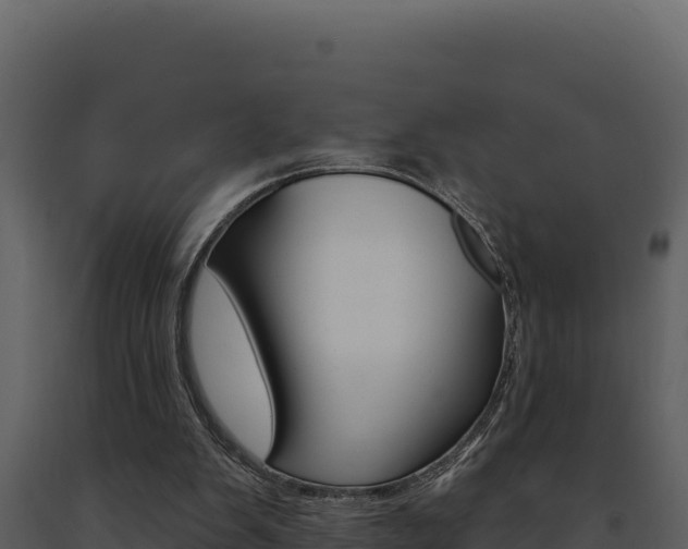 X0000091730103200708241053
