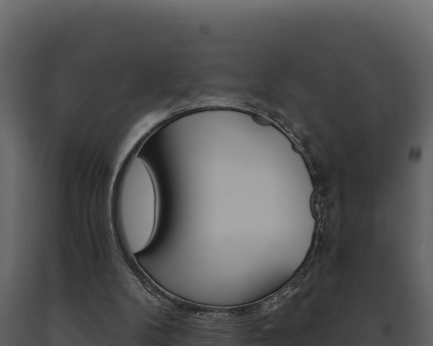 X0000091730104200708241053