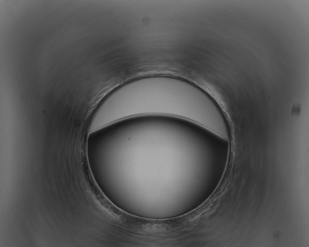 X0000091730105200708241053