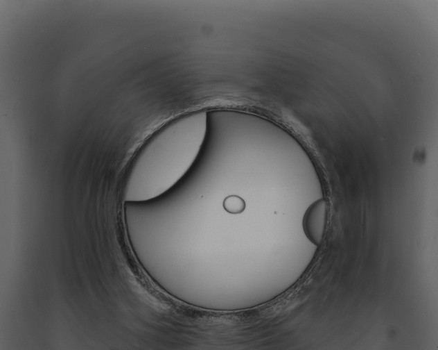 X0000091730106200708241053