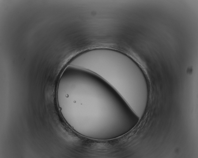 X0000091730107200708241053