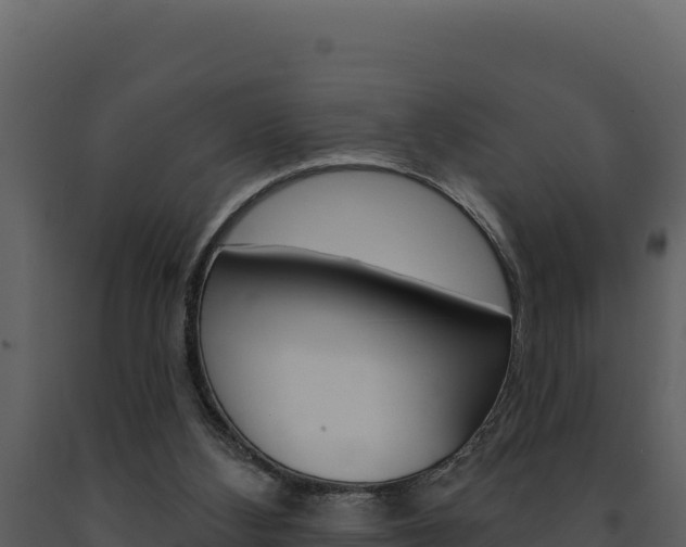 X0000091730108200708241053