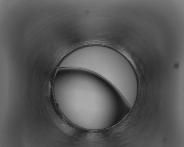 X0000091730109200708241053
