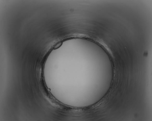 X0000091730110200708241053