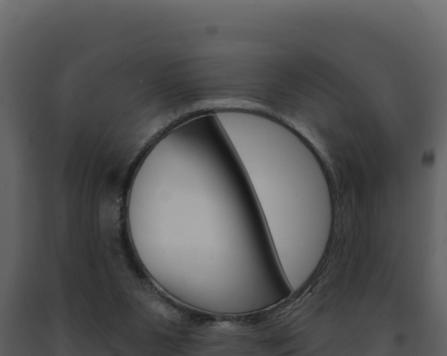 X0000091730111200708241053
