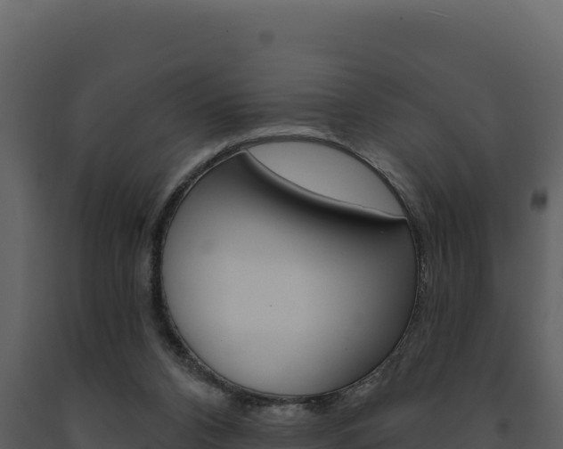 X0000091730112200708241053
