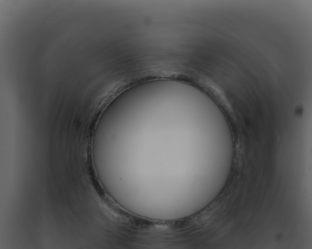 X0000091730114200708241053